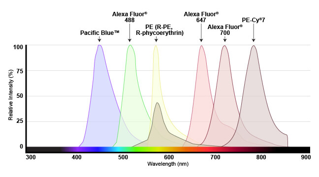 Multi-fluorophore emission spectra